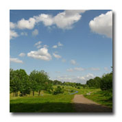 moston vale city park thumb